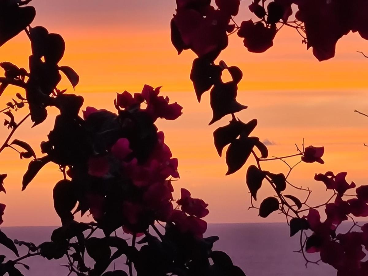 Apartment Cielo E Mare: Charming Seaside Retreat In Old Village Heart Castelsardo