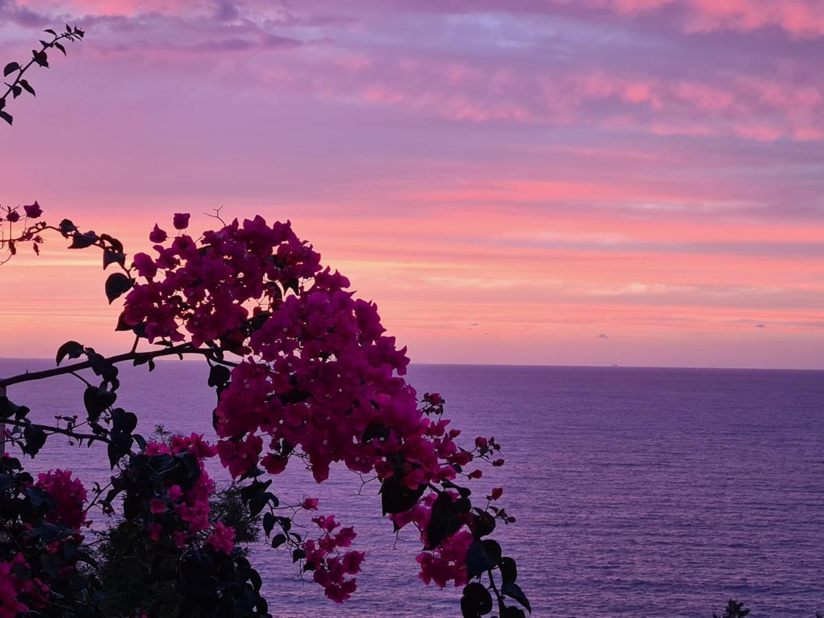 Cielo E Mare: Charming Seaside Retreat In Old Village Heart Castelsardo